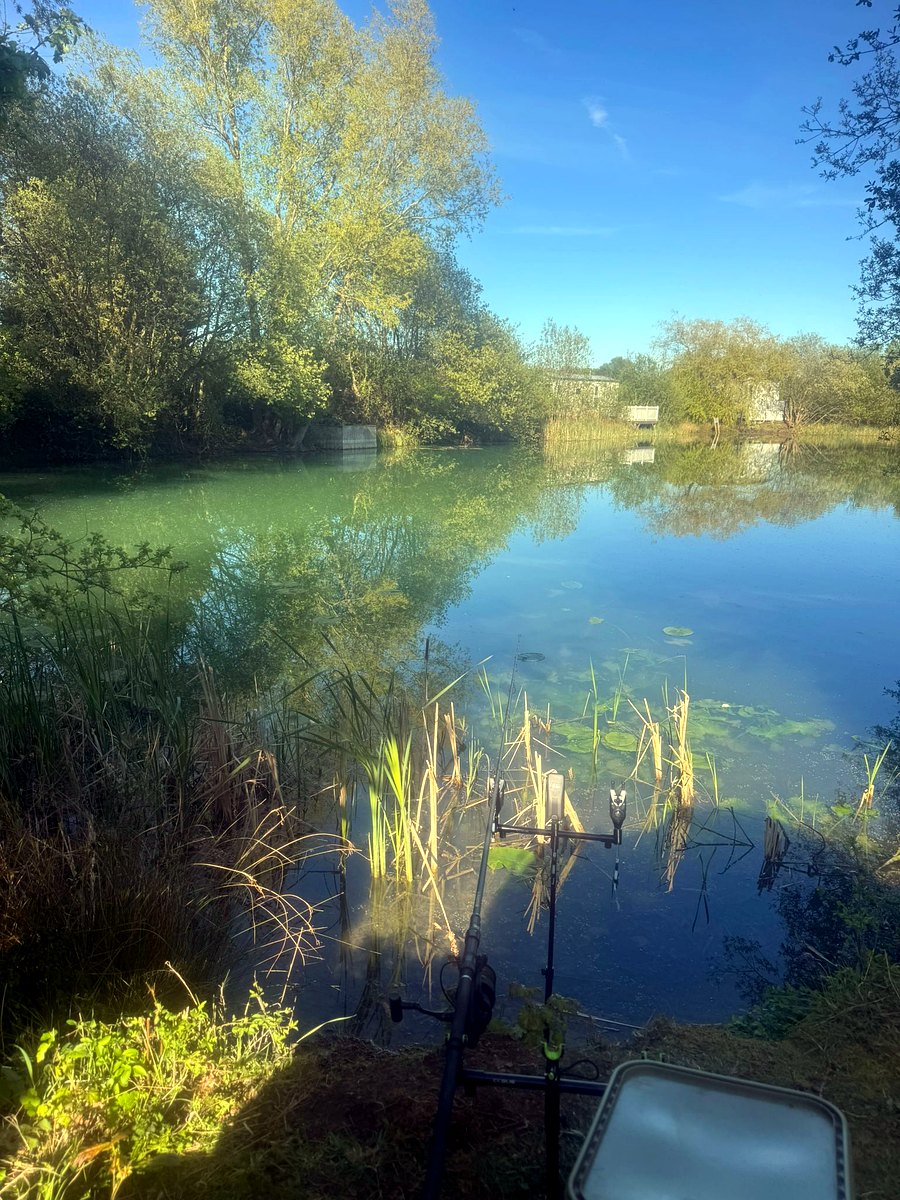 The grounds and lakes at Morgans Farm Fishery — replace with a photo of the venue